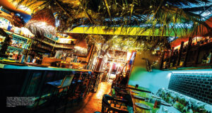 BUCH-M-INT-Palma-Nola